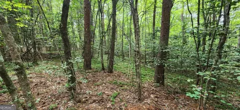 lot44 Old Mill Pond Rd, Mineral Bluff, GA 30559