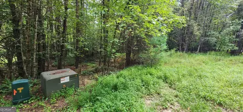 lot45 Old Mill Pond Rd, Mineral Bluff, GA 30559