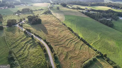 16 W L Williams Rd, Commerce, GA 30530