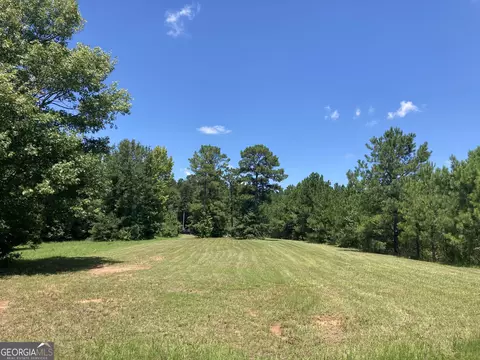 0 Trick Run, Forsyth, GA 31029 photo 3