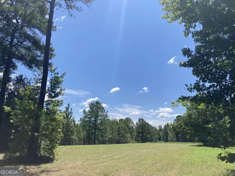 0 Trick Run, Forsyth, GA 31029 photo 7