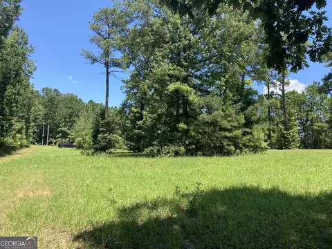 0 Trick Run, Forsyth, GA 31029 photo 8