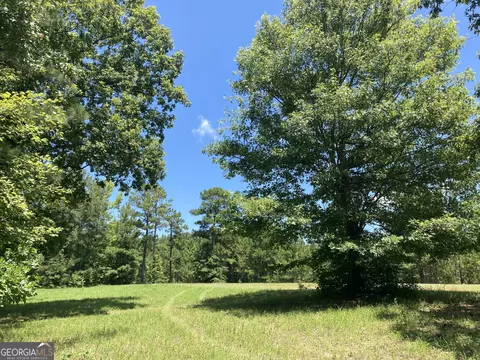 0 Trick Run, Forsyth, GA 31029 photo 2