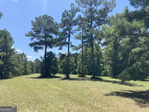 0 Trick Run, Forsyth, GA 31029 photo 4