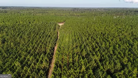 Tract 19 Penny Morris Road, Baxley, GA 31513