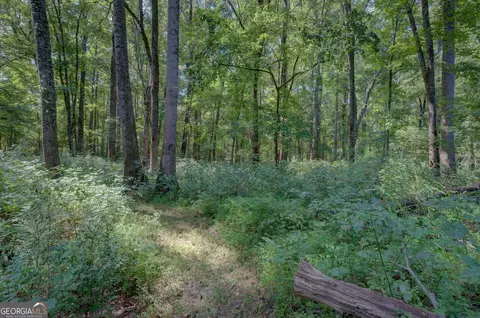 20 N River Rd, Mcdonough, GA 30252 photo 6