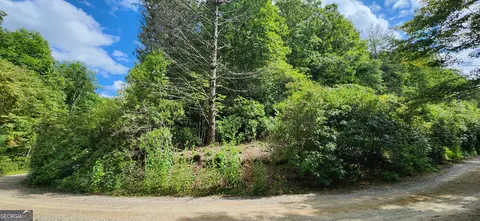 17 Donna Lee Lane, Mineral Bluff, GA 30559