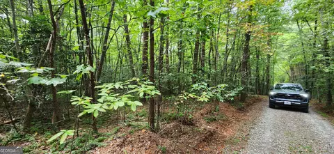 36 Old Mill Pond Rd # A, Mineral Bluff, GA 30559