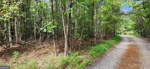 15 Donna Lee Lane, Mineral Bluff, GA 30559