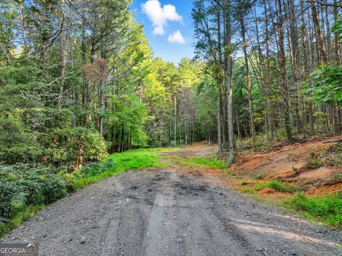 0 Cedar Ct, Jasper, GA 30143 photo 4