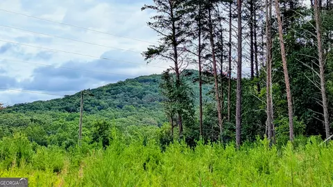 0 Cedar Ct, Jasper, GA 30143 photo 9