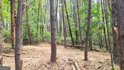 0 Cedar Ct, Jasper, GA 30143 photo 18
