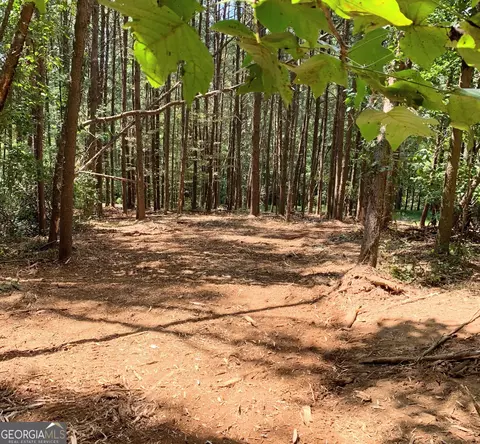 0 Cedar Ct, Jasper, GA 30143 photo 7