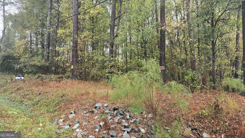  0 Grant Rd, Ellenwood, GA 30294 photo 1