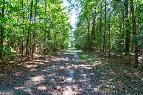 0 Philomath Rd, Rayle, GA 30660 photo 68