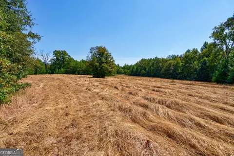 0 Philomath Rd, Rayle, GA 30660 photo 53