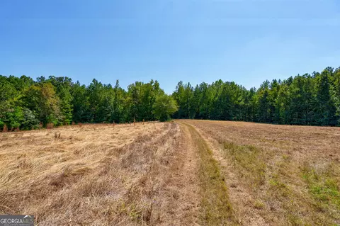 0 Philomath Rd, Rayle, GA 30660 photo 22