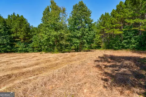 0 Philomath Rd, Rayle, GA 30660 photo 70