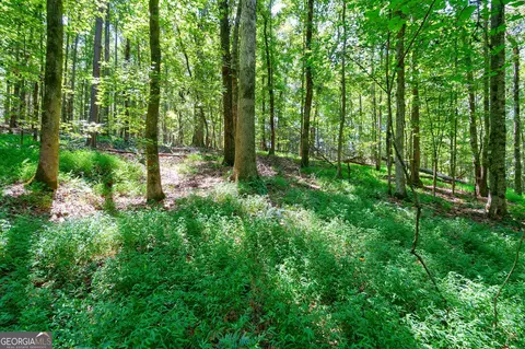 0 Philomath Rd, Rayle, GA 30660 photo 36