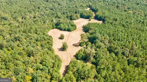 0 Philomath Rd, Rayle, GA 30660 photo 10