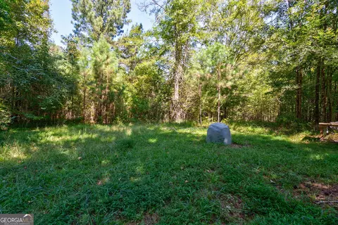 0 Philomath Rd, Rayle, GA 30660 photo 61