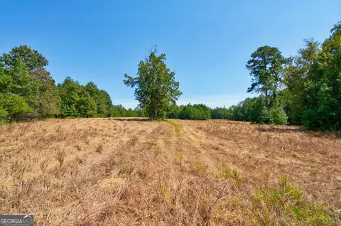 0 Philomath Rd, Rayle, GA 30660 photo 50