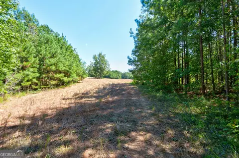 0 Philomath Rd, Rayle, GA 30660 photo 49