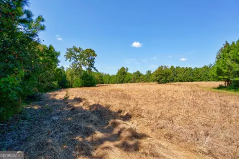 0 Philomath Rd, Rayle, GA 30660 photo 25
