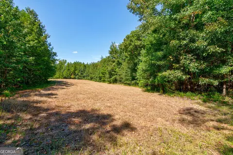 0 Philomath Rd, Rayle, GA 30660 photo 20