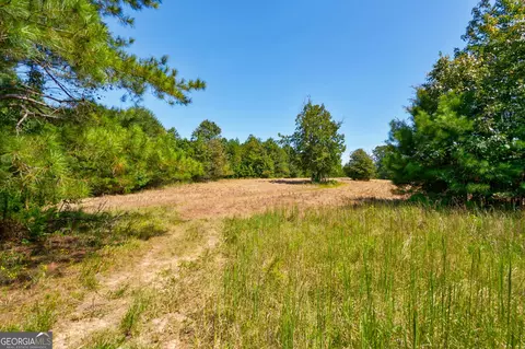 0 Philomath Rd, Rayle, GA 30660 photo 43
