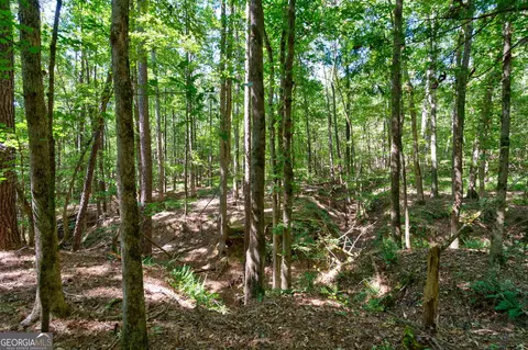 0 Philomath Rd, Rayle, GA 30660 photo 64