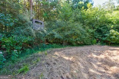 0 Philomath Rd, Rayle, GA 30660 photo 71