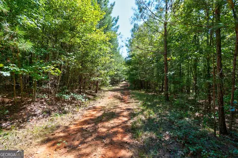 0 Philomath Rd, Rayle, GA 30660 photo 48