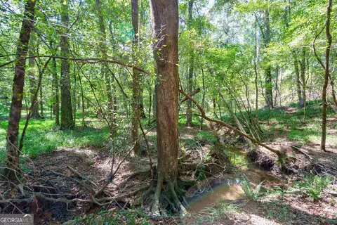 0 Philomath Rd, Rayle, GA 30660 photo 30