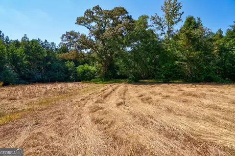 0 Philomath Rd, Rayle, GA 30660 photo 69