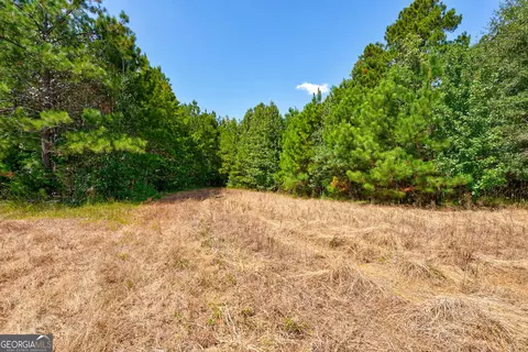 0 Philomath Rd, Rayle, GA 30660 photo 27