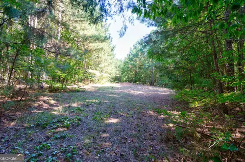 0 Philomath Rd, Rayle, GA 30660 photo 75