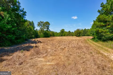 0 Philomath Rd, Rayle, GA 30660 photo 21
