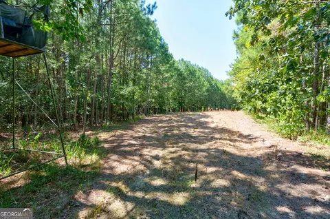 0 Philomath Rd, Rayle, GA 30660 photo 44