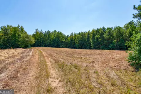 0 Philomath Rd, Rayle, GA 30660 photo 24