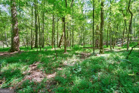 0 Philomath Rd, Rayle, GA 30660 photo 32
