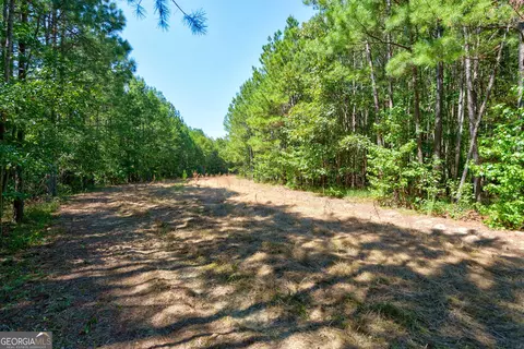 0 Philomath Rd, Rayle, GA 30660 photo 45