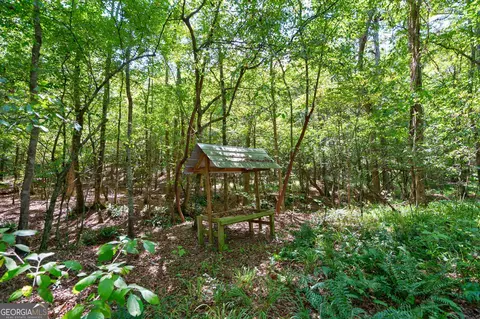 0 Philomath Rd, Rayle, GA 30660 photo 72