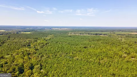 0 Philomath Rd, Rayle, GA 30660 photo 80