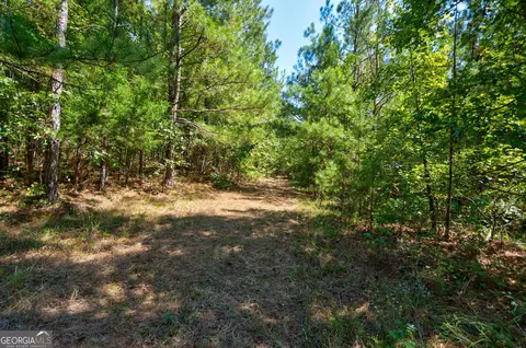 0 Philomath Rd, Rayle, GA 30660 photo 46