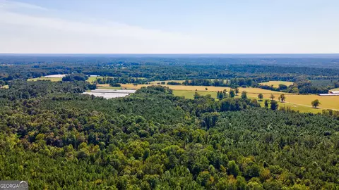 0 Philomath Rd, Rayle, GA 30660 photo 11