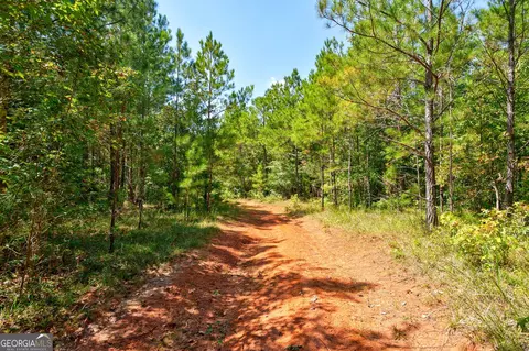 0 Philomath Rd, Rayle, GA 30660 photo 28