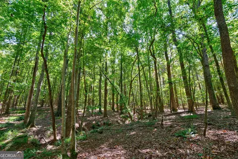 0 Philomath Rd, Rayle, GA 30660 photo 39