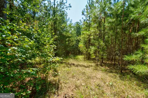0 Philomath Rd, Rayle, GA 30660 photo 47