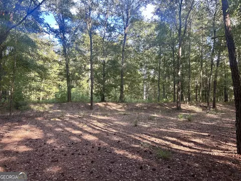 2170 Us Hwy 257, Pineview, GA 31071 photo 7